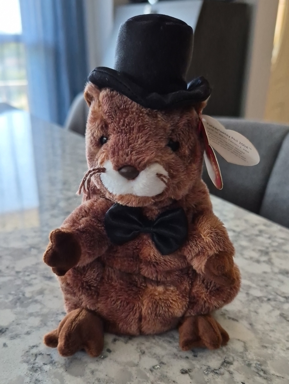 Ty Punxsutawney Phil 2004 Groundhog Plush with Black Top Hat and Bow Tie